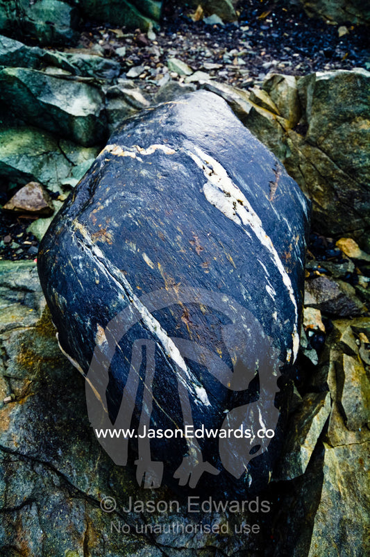 The ice-polished surface of a boulder made smooth by glacier erosion. Galindez Island, Argentine Islands, Faraday Islands, Antarctic Peninsula, Antarctica.
