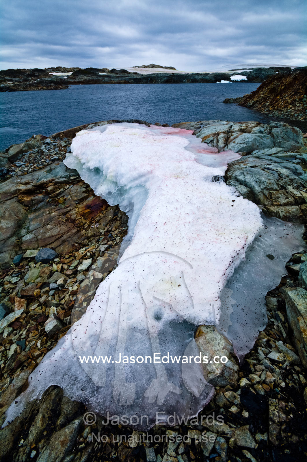 A patch of snow and ice melting on an exposed rocky shale island. Winter Island, Argentine Islands, Faraday Islands, Antarctic Peninsula, Antarctica.