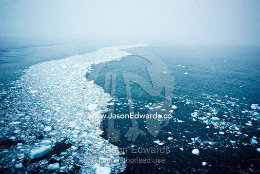 Icebergs float on a sea current in a blizzard beneath a grey sky. Gerlache Strait, Graham Land, Antarctic Peninsula, Antarctica.