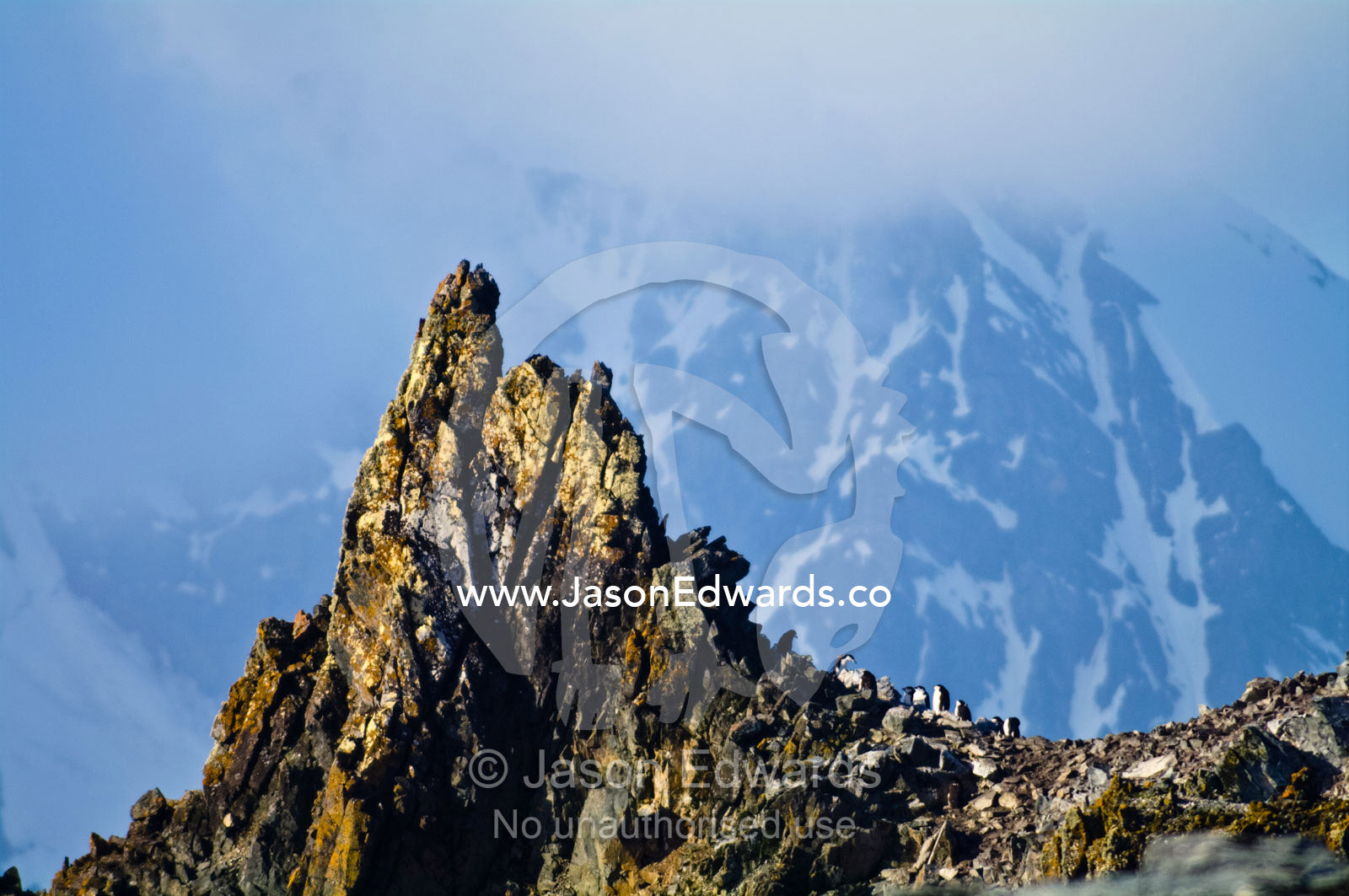A nesting rookery of Chinstrap Penguins on a sheer mountain ridge top. Half Moon Island, Burgas Peninsula, Livingston Island, Errera Channel, Antarctic Peninsula, Antarctica.