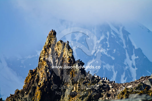 A nesting rookery of Chinstrap Penguins on a sheer mountain ridge top. Half Moon Island, Burgas Peninsula, Livingston Island, Errera Channel, Antarctic Peninsula, Antarctica.