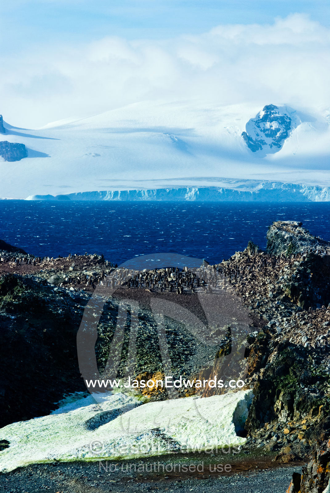 A nesting rookery of Chinstrap Penguins on a sheer mountain ridge top. Half Moon Island, Burgas Peninsula, Livingston Island, Errera Channel, South Shetland Islands, Antarctic Peninsula, Antarctica.