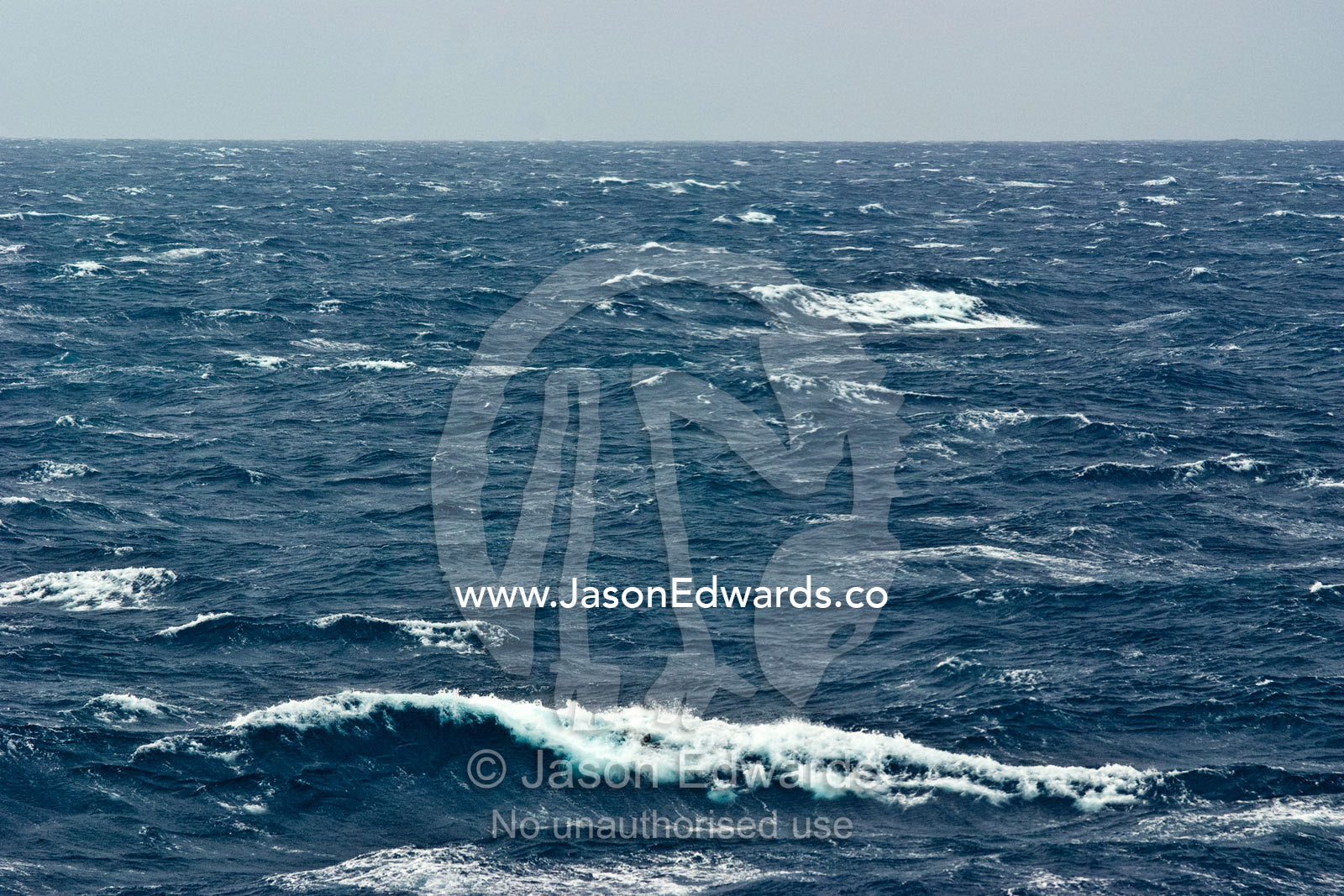 Wind lashed waves roll across a grey stormy featureless ocean horizon. The Drake Passage between the Atlantic Ocean and Pacific Ocean.