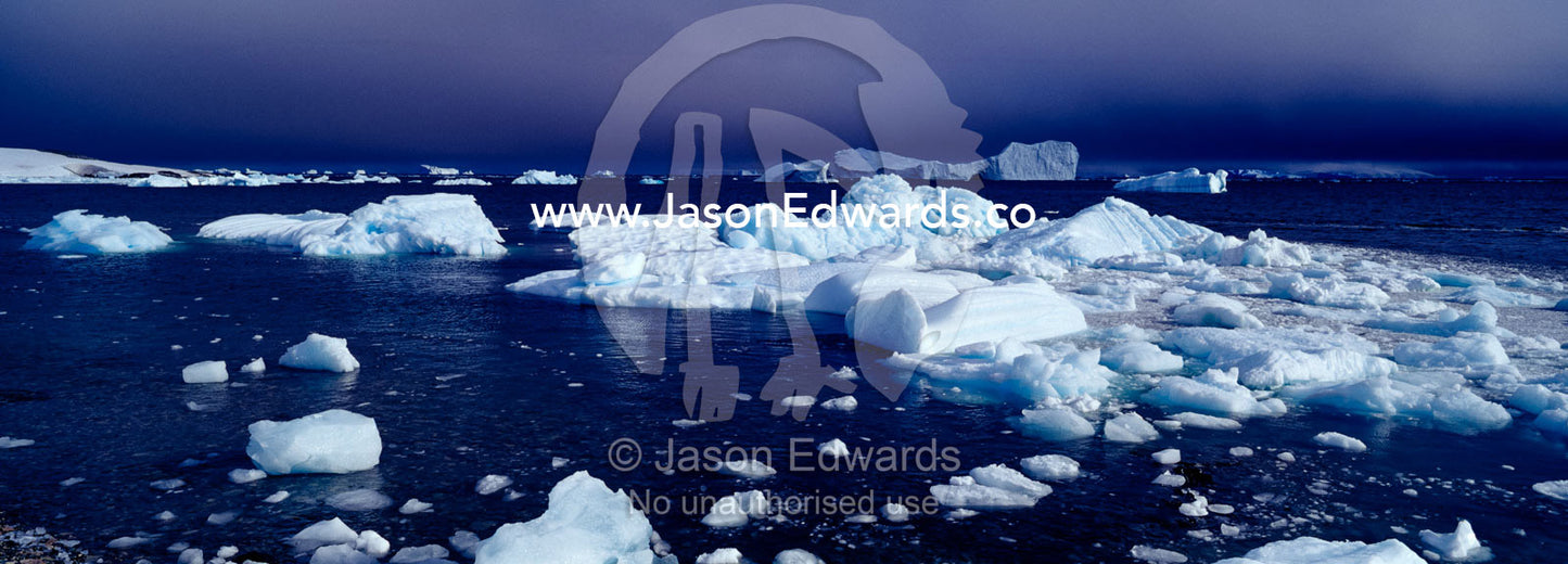Icebergs line the shallows of a rugged diorite island shoreline. Prospect Point, Crystal Sound, Antarctic Peninsula, Antarctic Circle, Antarctica.