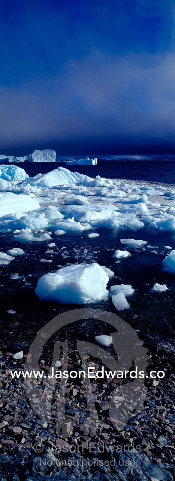 Icebergs line the shallows of a rugged diorite island shoreline. Prospect Point, Crystal Sound, Antarctic Peninsula, Antarctic Circle, Antarctica.