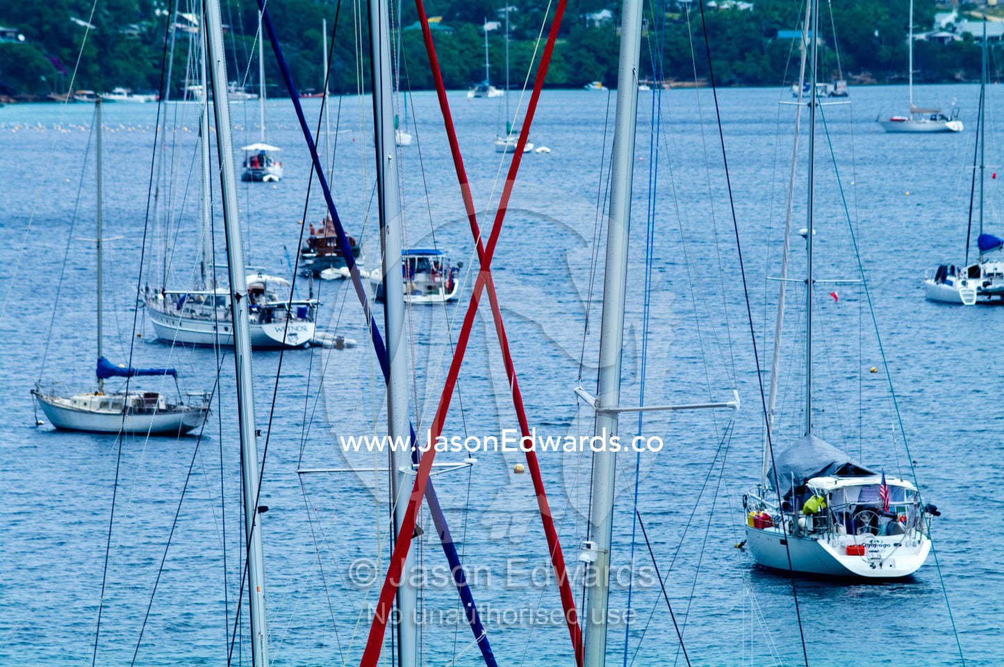 The masts and sail lines of yachts moored in a safe tropical  harbour. Port of Refuge, Neiafu, Vava'u Island Group, Pacific Ocean, Oceania, Kingdom of Tonga.