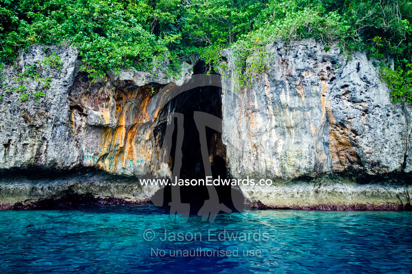Lush forest above the entrance to a cave eroded in a limestone cliff. Swallows Cave, Vava'u Island Group, Pacific Ocean, Oceania, Kingdom of Tonga.
