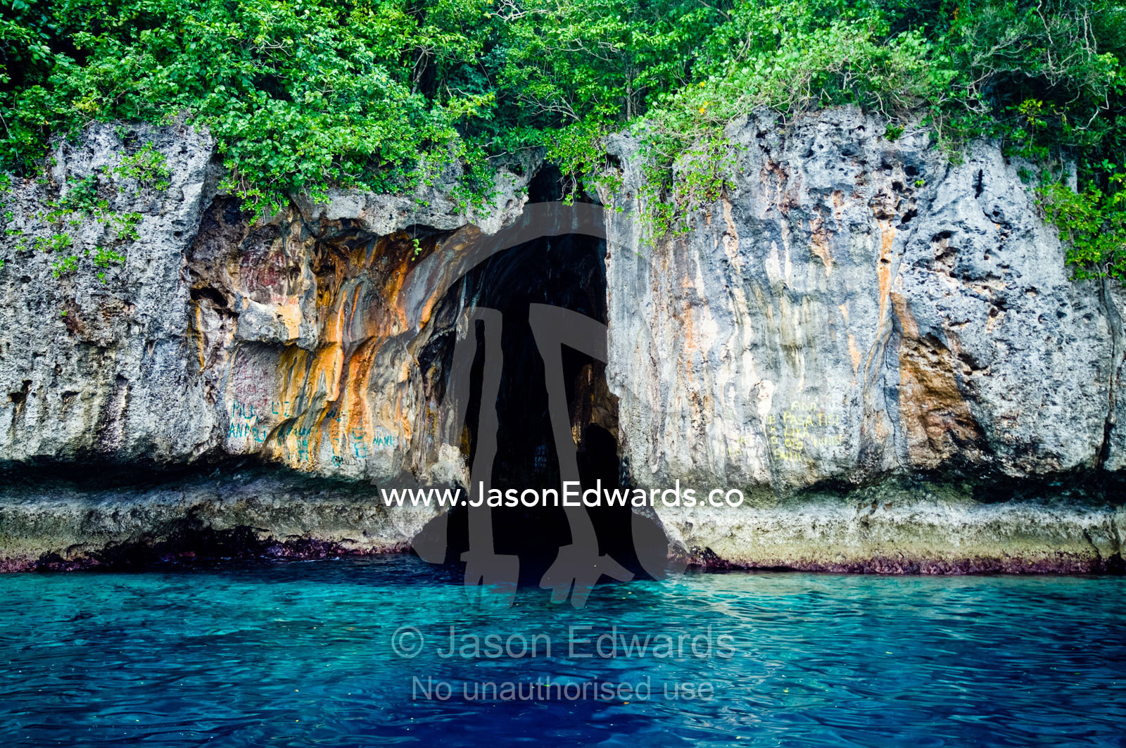 Lush forest above the entrance to a cave eroded in a limestone cliff. Swallows Cave, Vava'u Island Group, Pacific Ocean, Oceania, Kingdom of Tonga.