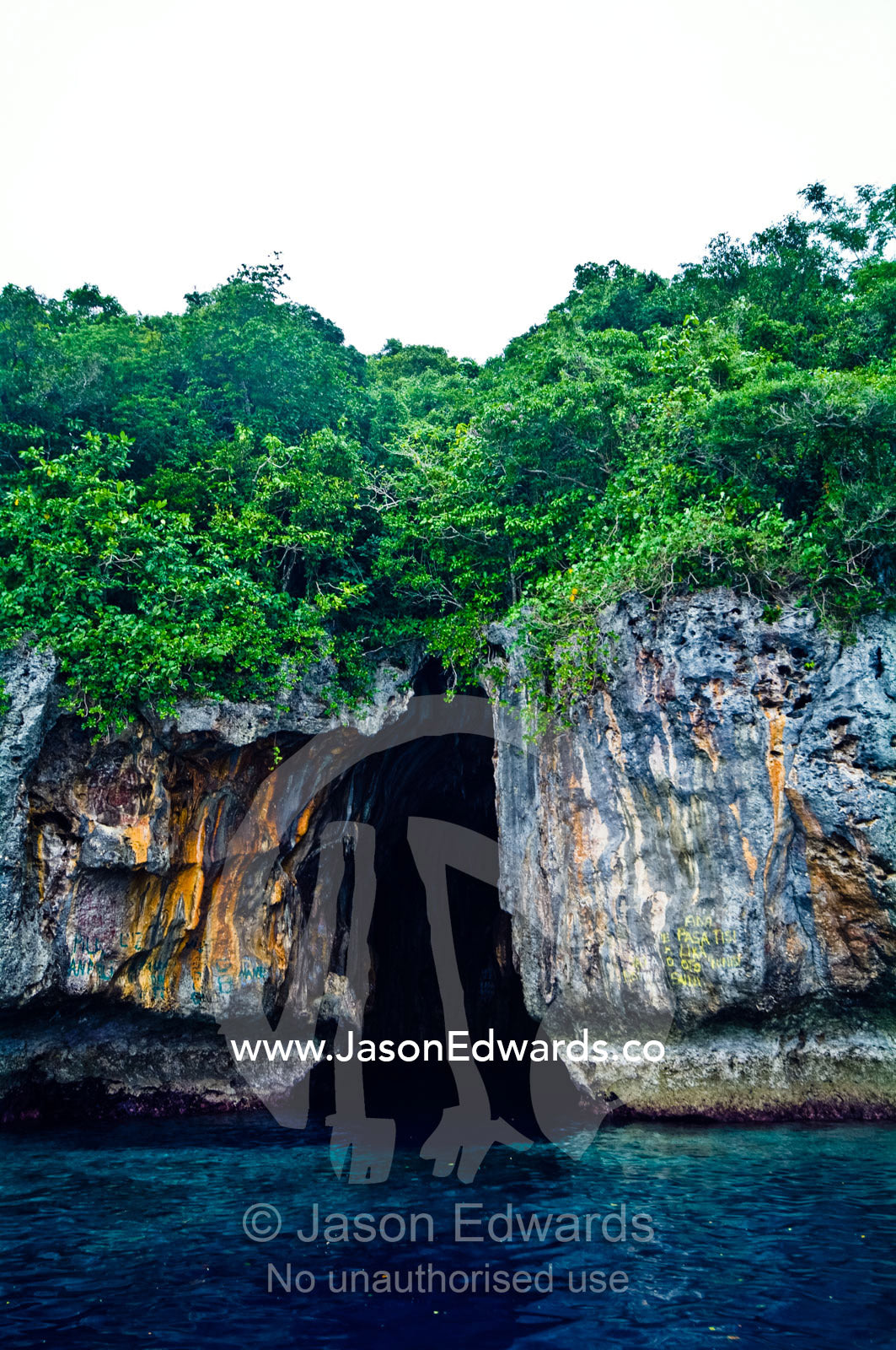 Lush forest above the entrance to a cave eroded in a limestone cliff. Swallows Cave, Vava'u Island Group, Pacific Ocean, Oceania, Kingdom of Tonga.