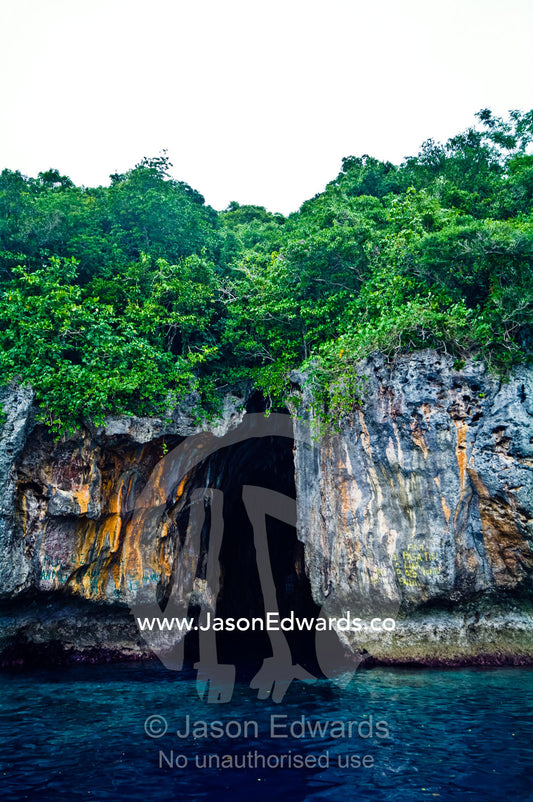 Lush forest above the entrance to a cave eroded in a limestone cliff. Swallows Cave, Vava'u Island Group, Pacific Ocean, Oceania, Kingdom of Tonga.