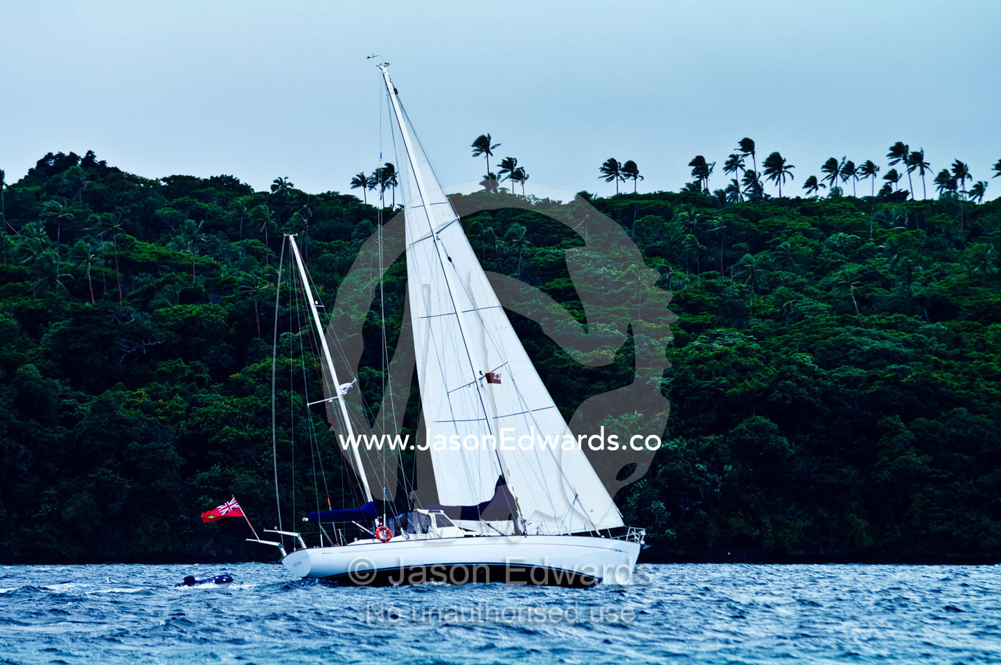 An ocean yacht sails past a lush tropical island under a strong wind. Vava'u Island Group, Pacific Ocean, Oceania, Kingdom of Tonga.