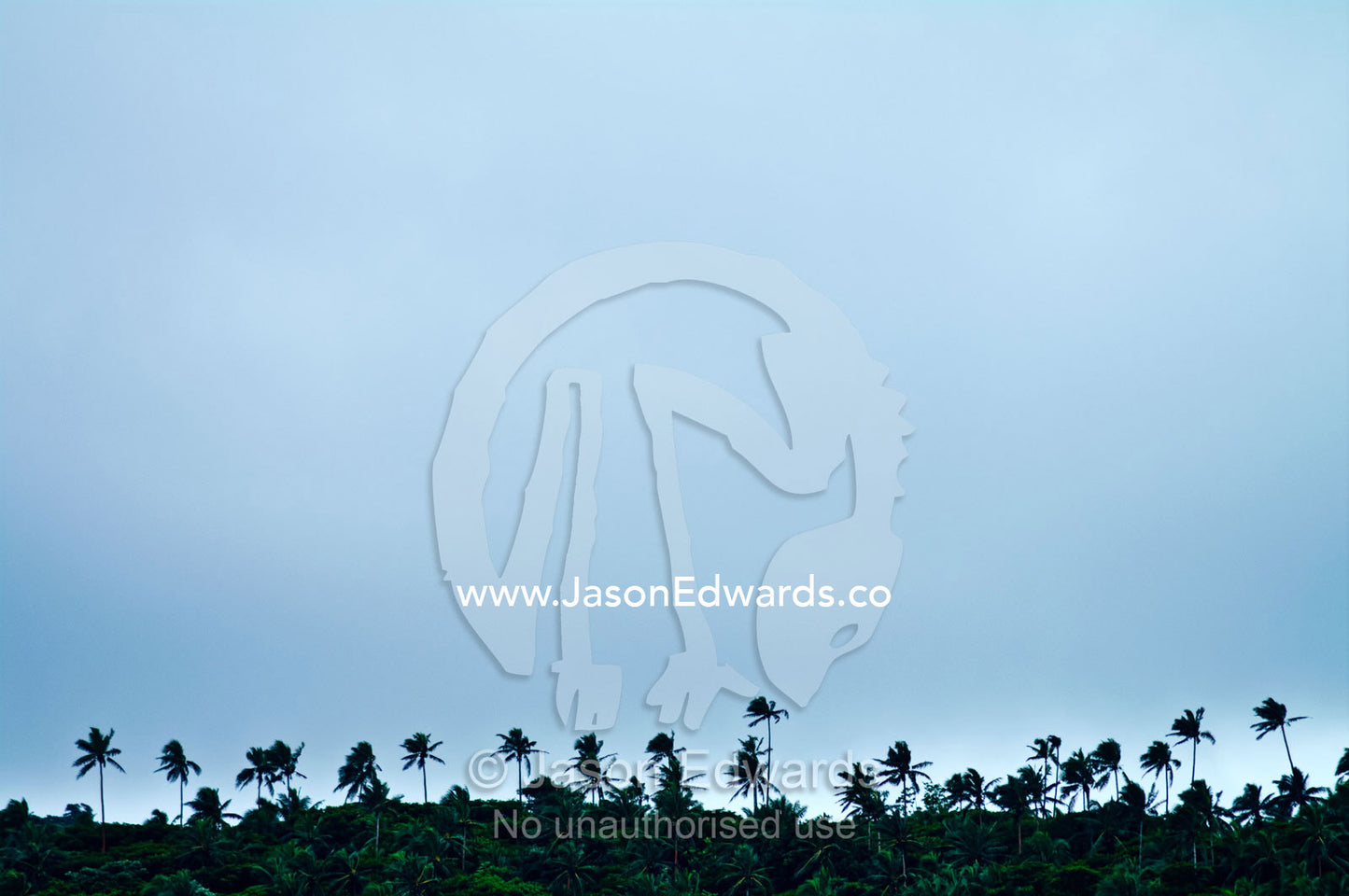 Palm tree silhouettes rise above a forest canopy on a tropical island. Vava'u Island Group, Pacific Ocean, Oceania, Kingdom of Tonga.