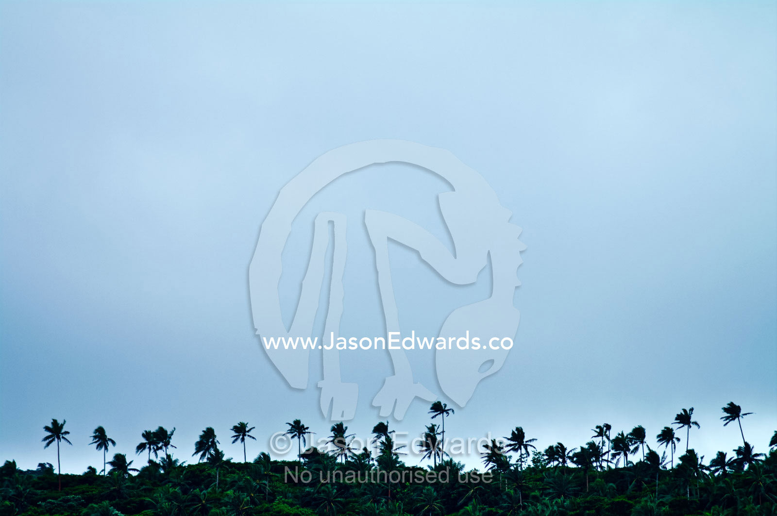 Palm tree silhouettes rise above a forest canopy on a tropical island. Vava'u Island Group, Pacific Ocean, Oceania, Kingdom of Tonga.