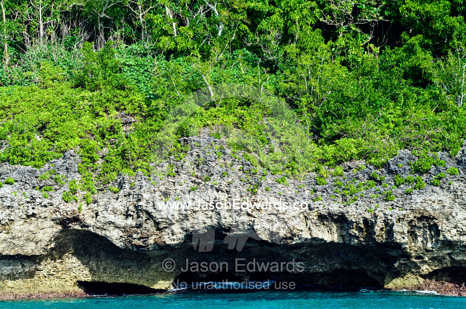 Lush forest colonising a limestone cliff on a tropical island. Vava'u Island Group, Pacific Ocean, Oceania, Kingdom of Tonga.
