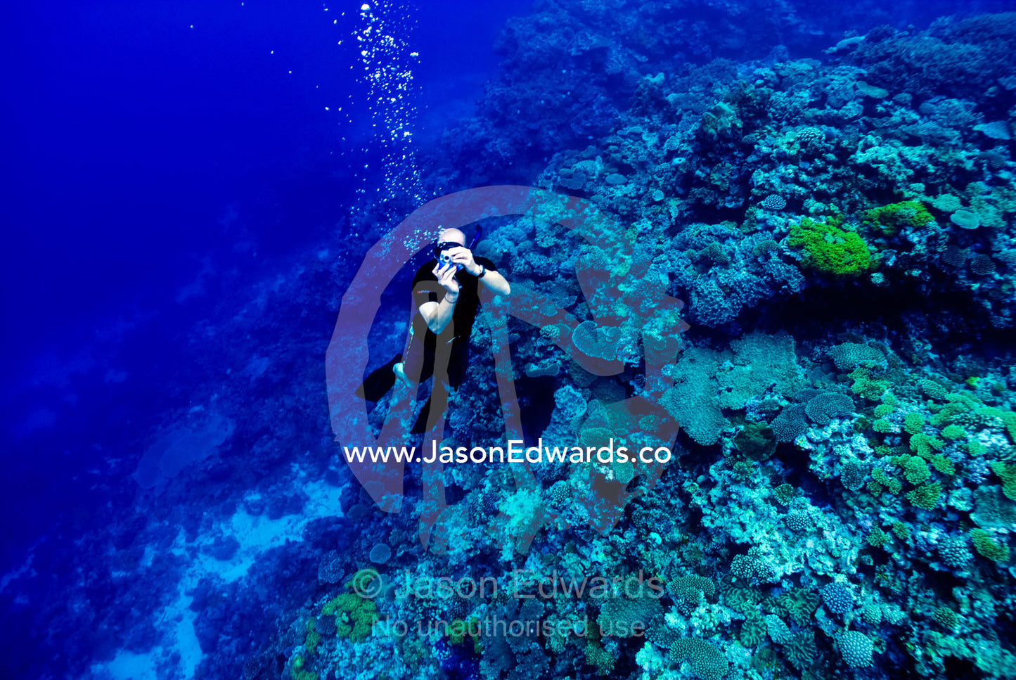 A snorkelling free diver takes an underwater photo over a coral reef. Vava'u Island Group, Pacific Ocean, Oceania, Kingdom of Tonga.