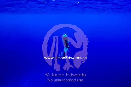 A free diver exhales through his snorkel as he surfaces from the deep. Vava'u Island Group, Pacific Ocean, Oceania, Kingdom of Tonga.