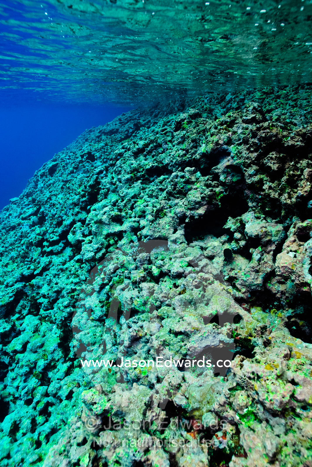 Warm, shallow seas over the jagged surface of a tropical coral reef. Vava'u Island Group, Pacific Ocean, Oceania, Kingdom of Tonga.