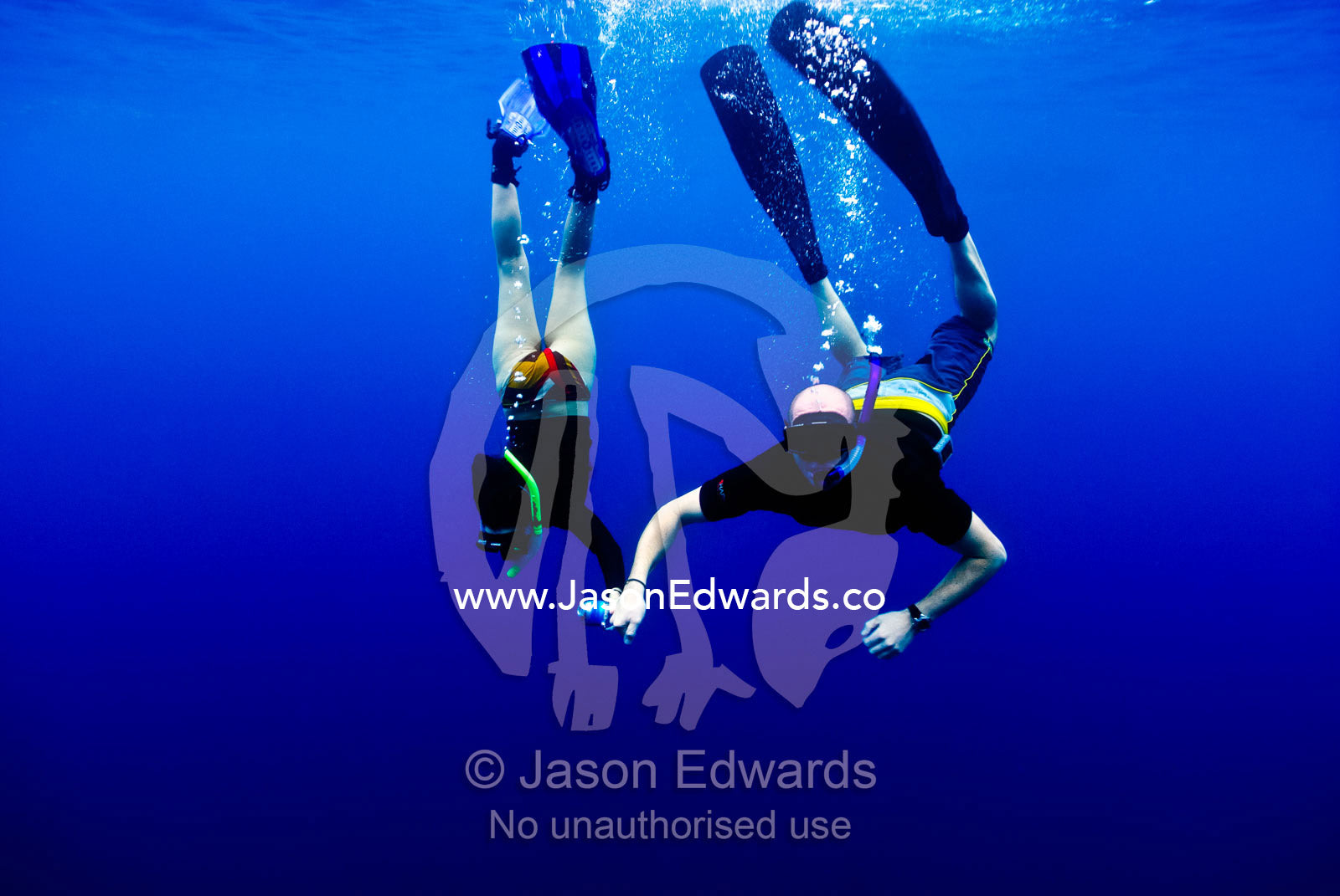 A romantic couple snorkels in clear blue tropical seas holding hands. Vava'u Island Group, Pacific Ocean, Oceania, Kingdom of Tonga.