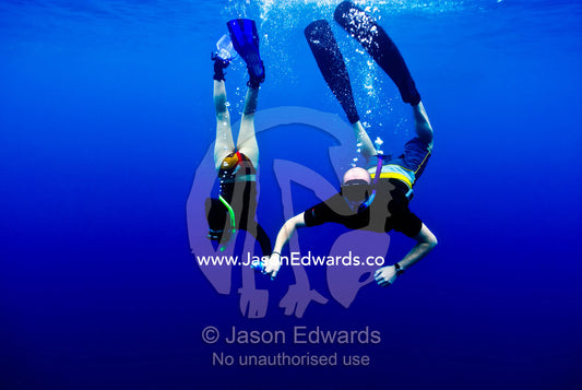 A romantic couple snorkels in clear blue tropical seas holding hands. Vava'u Island Group, Pacific Ocean, Oceania, Kingdom of Tonga.