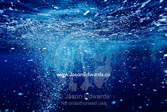 A cascade of bubbles floats to the surface of a tropical blue ocean. Vava'u Island Group, Pacific Ocean, Oceania, Kingdom of Tonga.