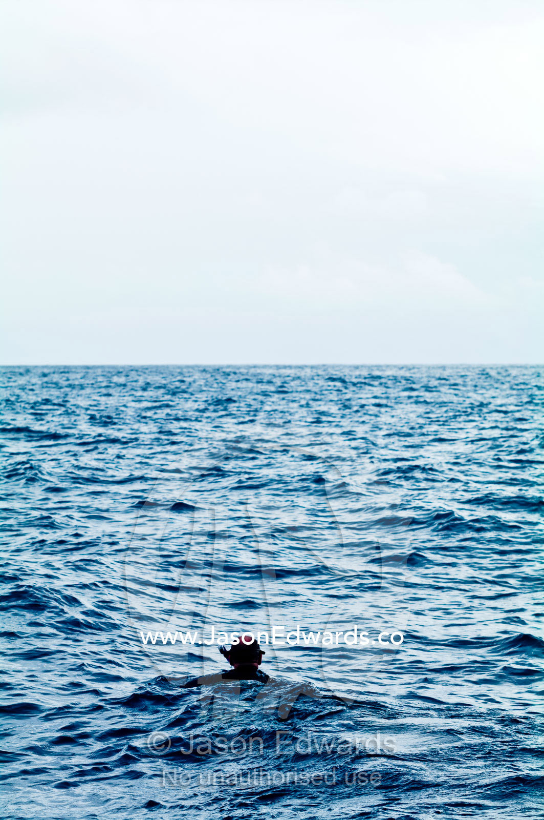 A lone snorkeler swims across the surface of a wide ocean. Vava'u Island Group, Pacific Ocean, Oceania, Kingdom of Tonga.