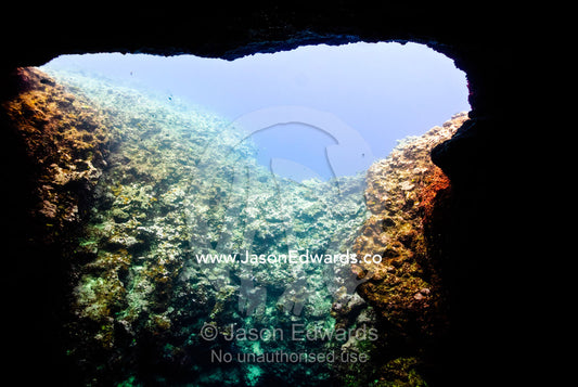 Sunlight enters the gaping mouth of an underwater coral cave. Mariner's Cave, Vava'u Island Group, Pacific Ocean, Oceania, Kingdom of Tonga.