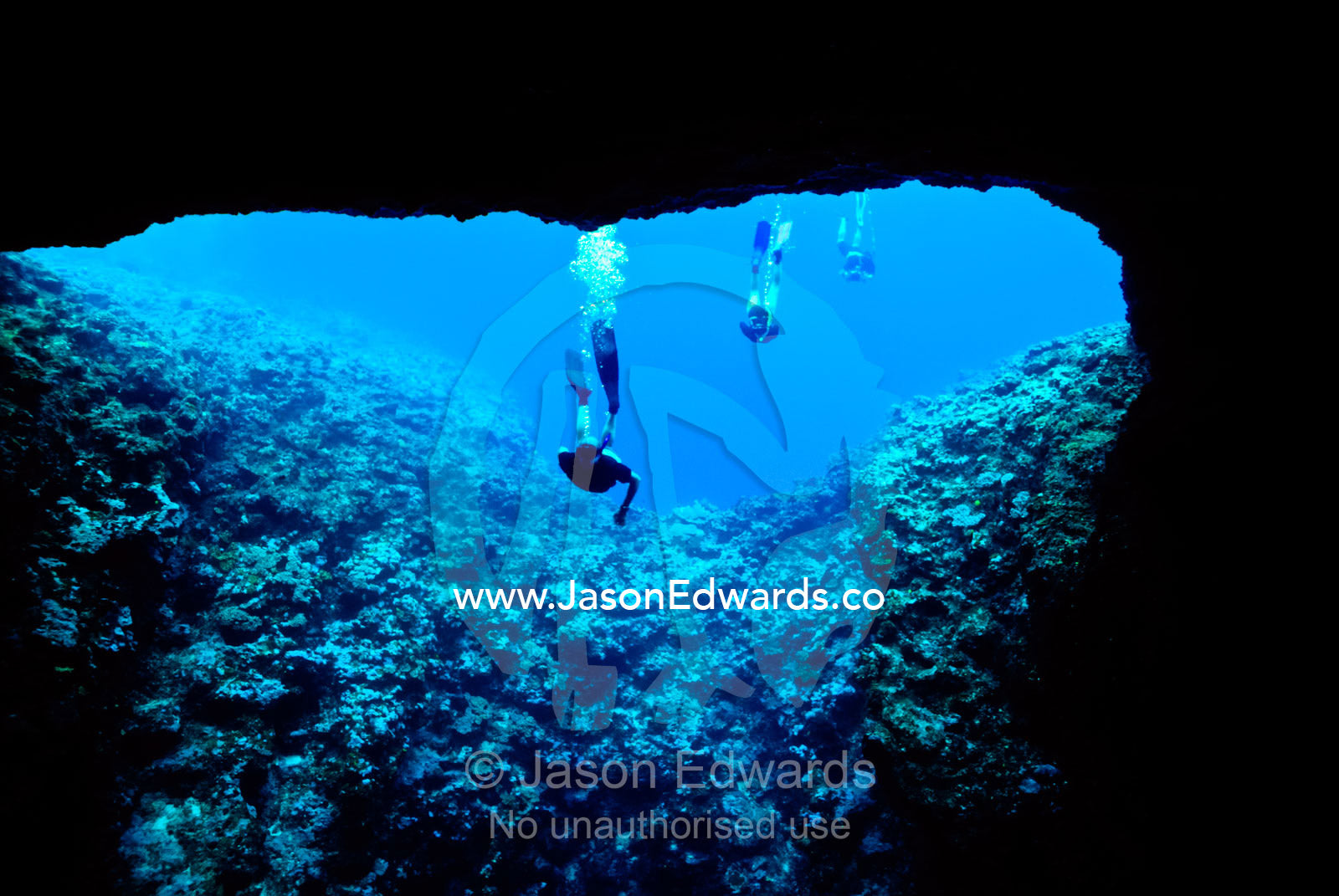 Snorkelers tentatively examine the entrance to an underwater cave. Mariner's Cave. Vava'u Island Group, Pacific Ocean, Oceania, Kingdom of Tonga.