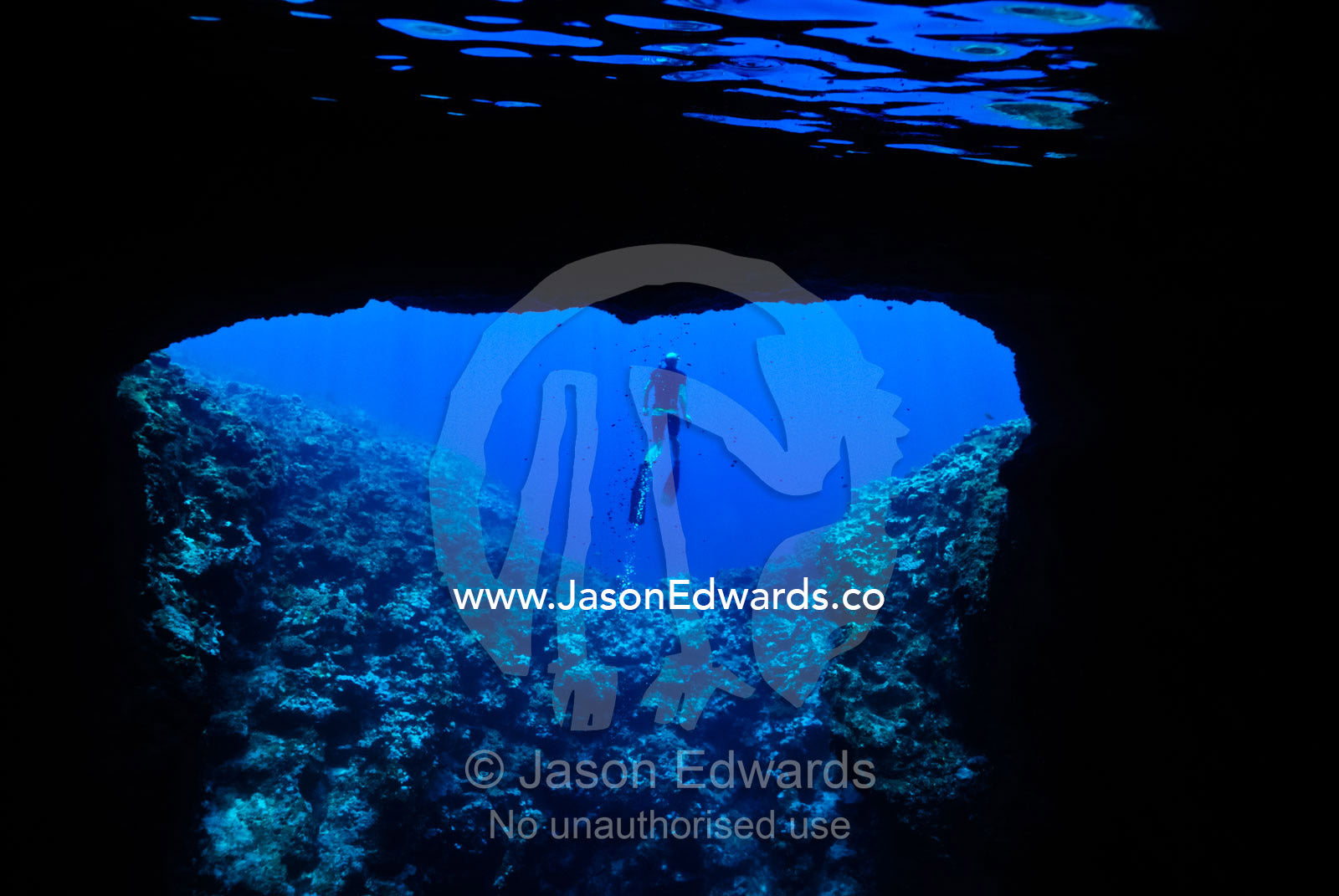 A deep free diver ascends through the entrance of an underwater cave. Mariner's Cave. Vava'u Island Group, Pacific Ocean, Oceania, Kingdom of Tonga.