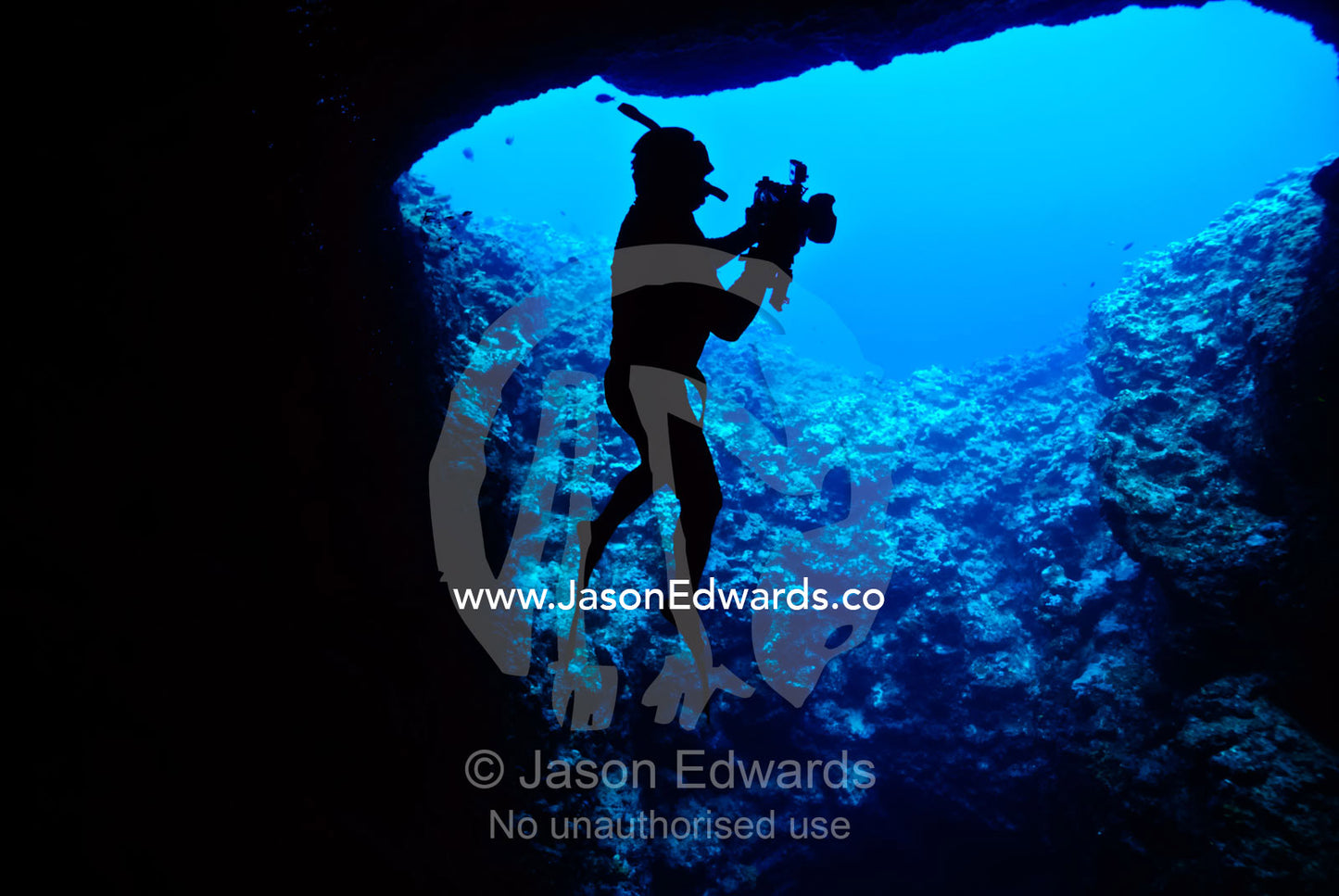 A snorkelling photographer uses an underwater camera in a cave. Mariner's Cave. Vava'u Island Group, Pacific Ocean, Oceania, Kingdom of Tonga.