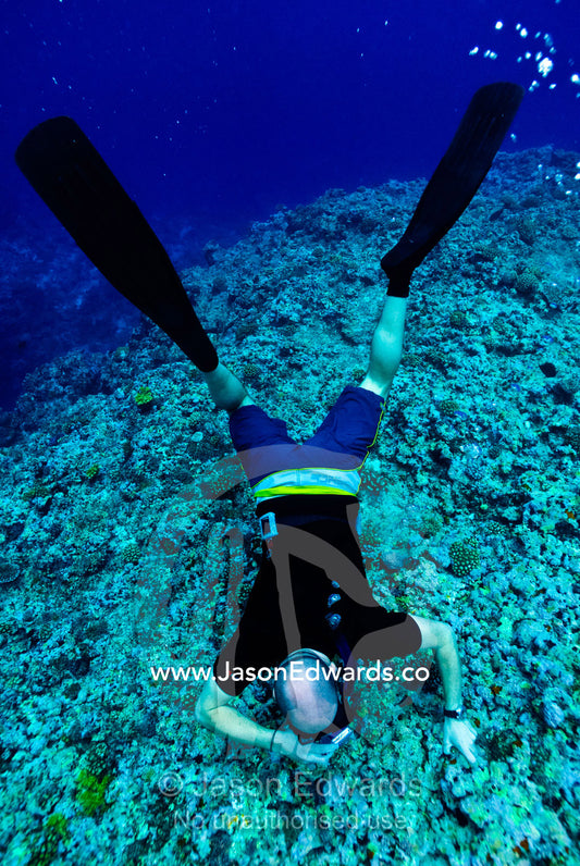 A snorkelling free diver takes an underwater photo over a coral reef. Vava'u Island Group, Pacific Ocean, Oceania, Kingdom of Tonga.