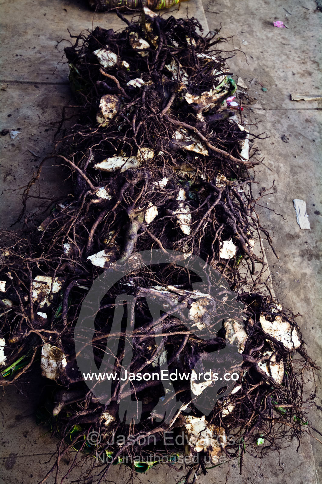 A woven tangle of tubers and legume roots for sale in a rural market. Utukalongalu Market, Port of Refuge, Neiafu, Vava'u Island Group, Pacific Ocean, Oceania, Kingdom of Tonga.