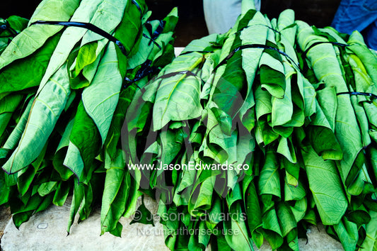 Bound rolls of mulberry plant leaves before being dried in a market. Utukalongalu Market, Port of Refuge, Neiafu, Vava'u Island Group, Pacific Ocean, Oceania, Kingdom of Tonga.