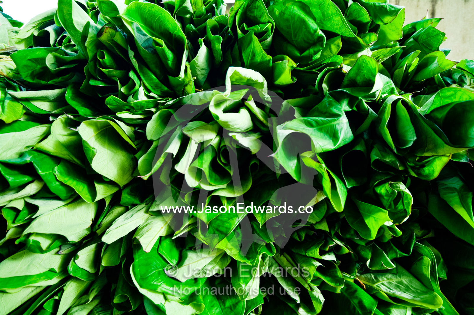 Bound rolls of mulberry plant leaves before being dried in a market. Utukalongalu Market, Port of Refuge, Neiafu, Vava'u Island Group, Pacific Ocean, Oceania, Kingdom of Tonga.