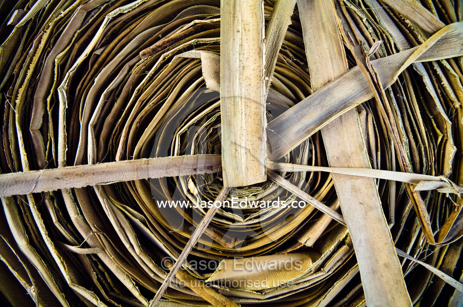 Tapa leaves from the paper-mulberry tree rolled and dried for sale. Utukalongalu Market, Port of Refuge, Neiafu, Vava'u Island Group, Pacific Ocean, Oceania, Kingdom of Tonga.