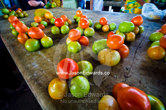 Piles of healthy ripe fresh tomatoes for sale at a rural market. Utukalongalu Market, Port of Refuge, Neiafu, Vava'u Island Group, Pacific Ocean, Oceania, Kingdom of Tonga.