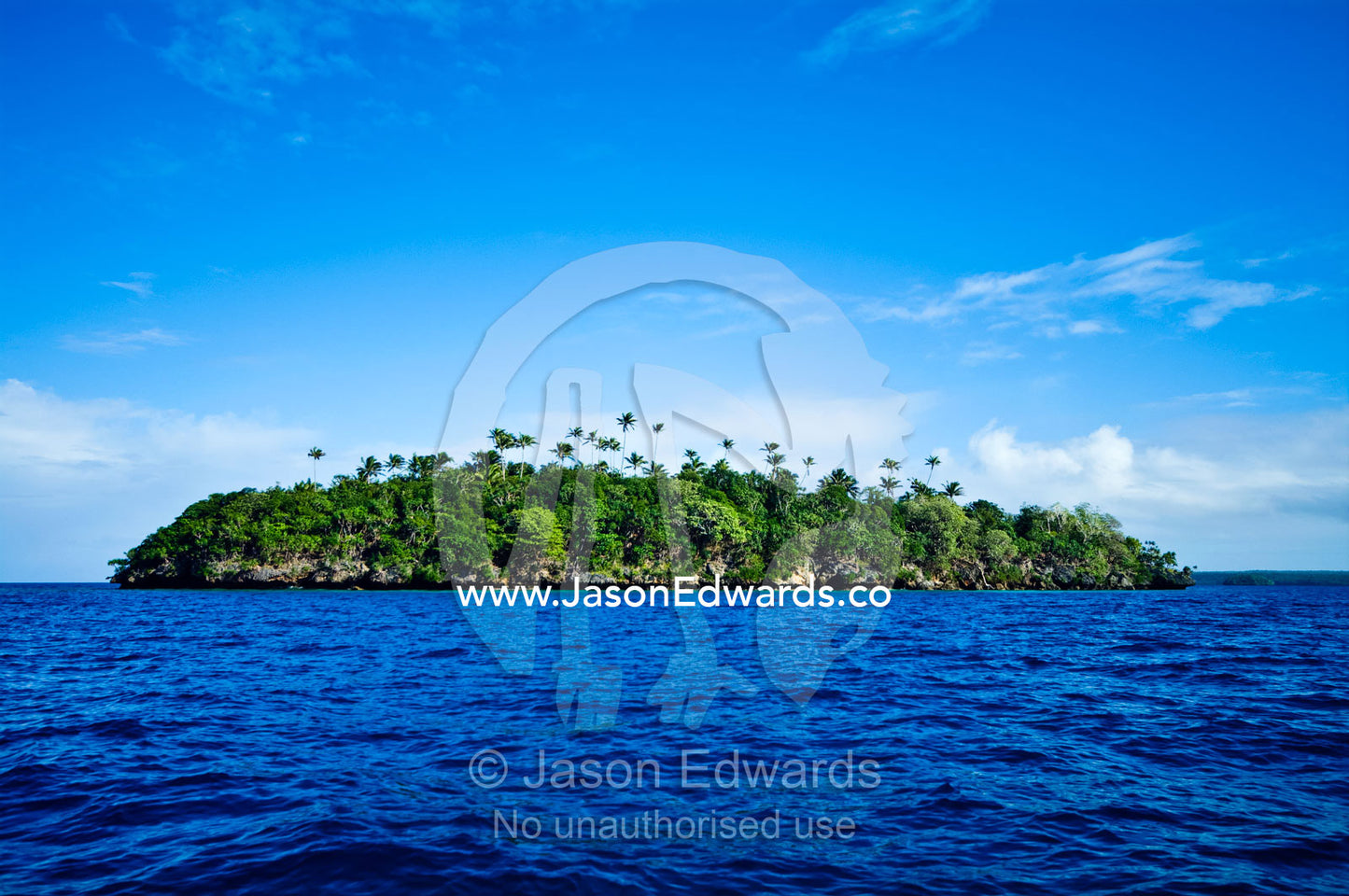 Rainforest and coconut palms crown a remote tropical island. Vava'u Island Group, Pacific Ocean, Oceania, Kingdom of Tonga.
