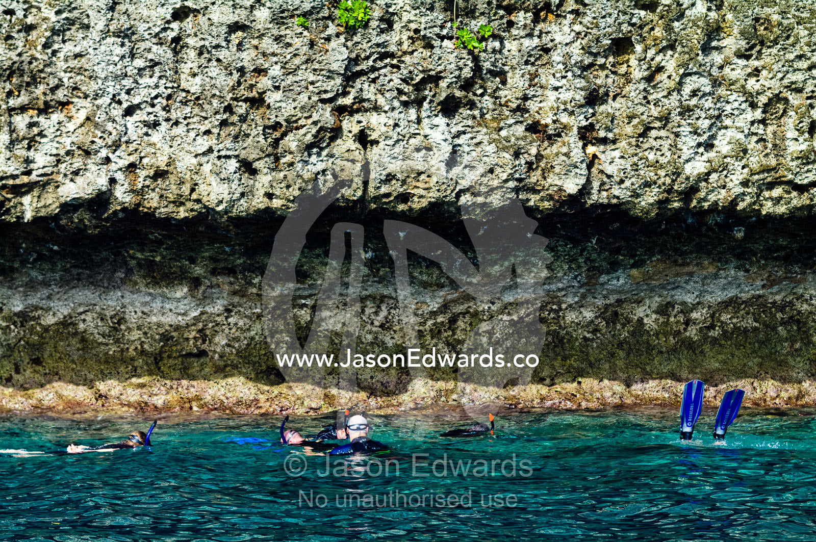 Tourists snorkel in clear seas at the base of a limestone island cliff Swallows Cave, Vava'u Island Group, Pacific Ocean, Oceania, Kingdom of Tonga.