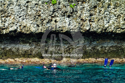 Tourists snorkel in clear seas at the base of a limestone island cliff Swallows Cave, Vava'u Island Group, Pacific Ocean, Oceania, Kingdom of Tonga.