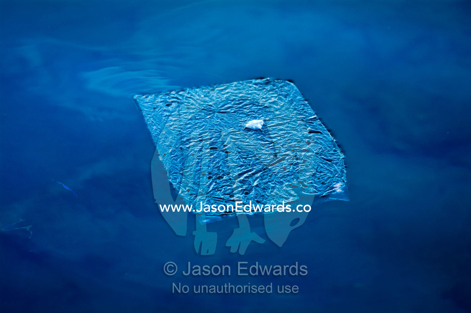 A discarded plastic bag floating on the surface of the ocean. Port of Refuge, Neiafu, Vava'u Island Group, Pacific Ocean, Oceania, Kingdom of Tonga.