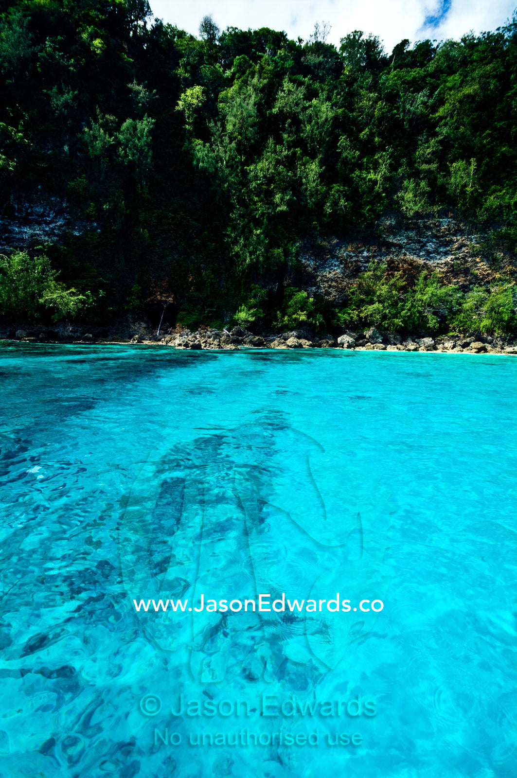 Chrystal clear turquoise seas in a sheltered bay of a tropical island Vava'u Island Group, Pacific Ocean, Oceania, Kingdom of Tonga.