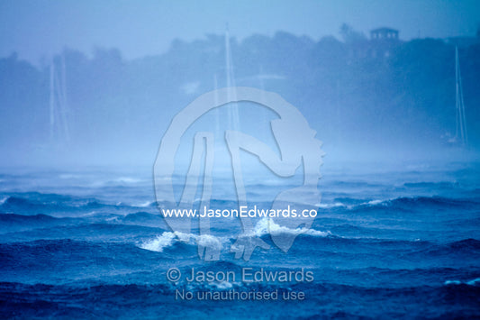A tropical storm engulfs ocean yachts with gale force wind and rain. Port of Refuge, Neiafu, Vava'u Island Group, Pacific Ocean, Oceania, Kingdom of Tonga.