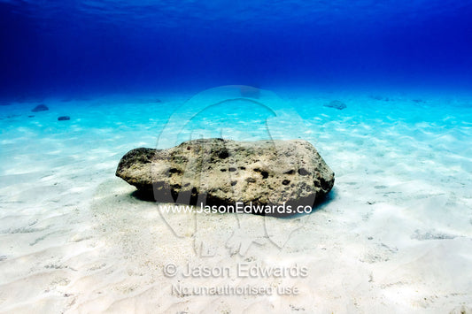 A lonely boulder rests on the sandy bottom of a clear tropical ocean. Vava'u Island Group, Pacific Ocean, Oceania, Kingdom of Tonga.
