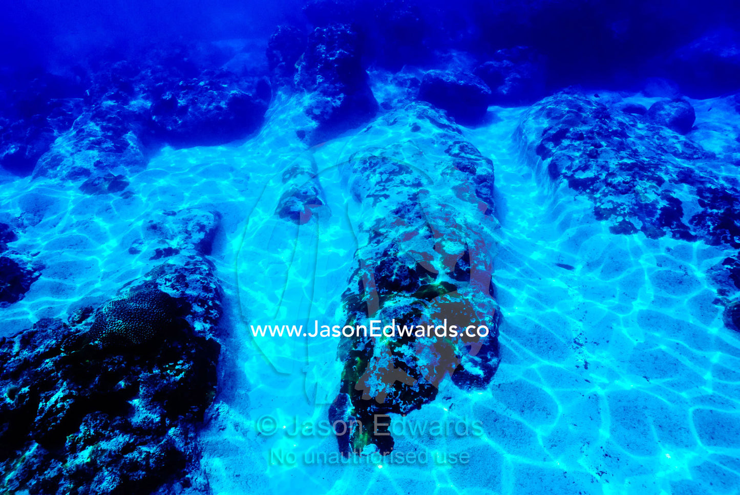 Sand fills channels eroded in a tropical coral reef by wave motion. Vava'u Island Group, Pacific Ocean, Oceania, Kingdom of Tonga.