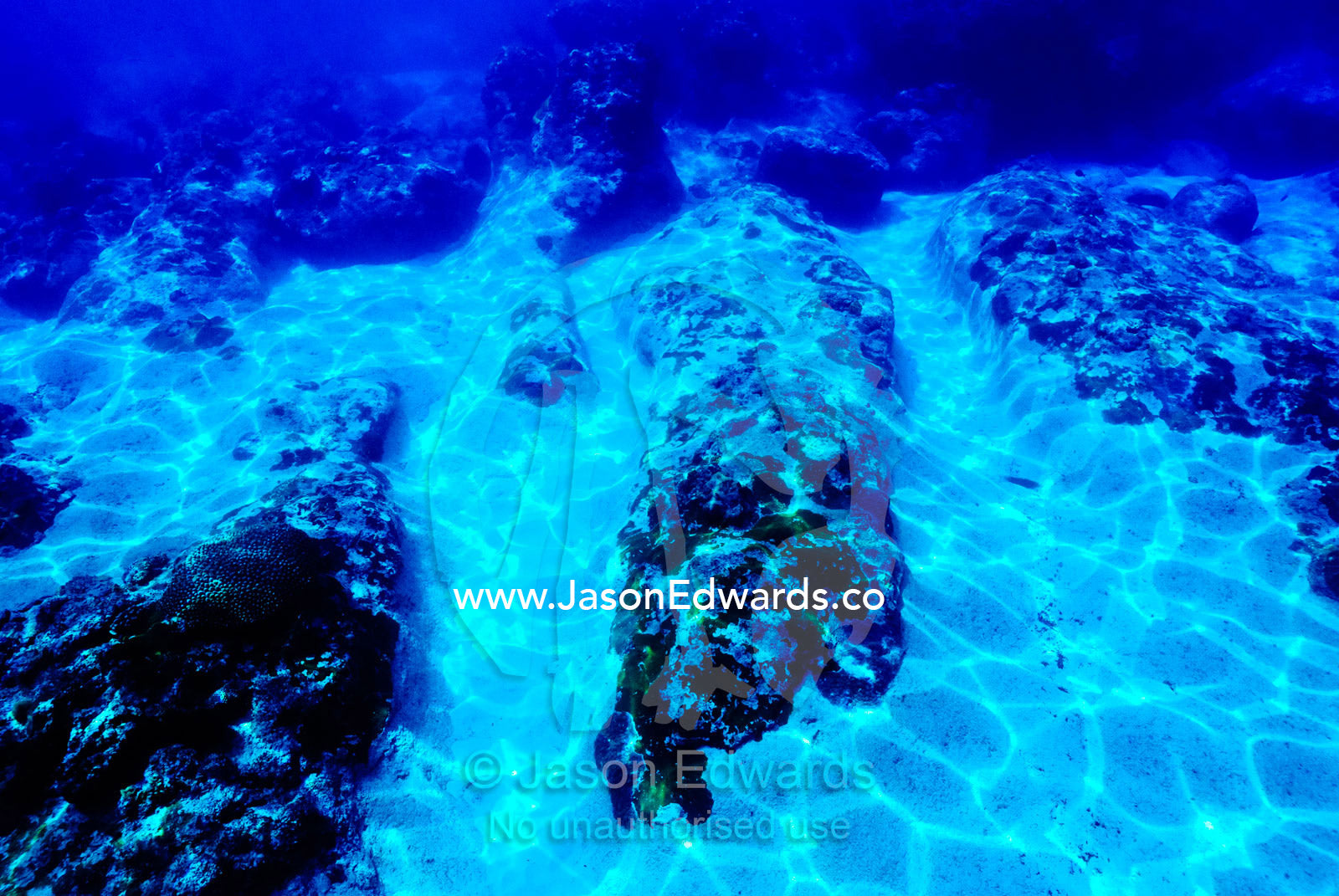 Sand fills channels eroded in a tropical coral reef by wave motion. Vava'u Island Group, Pacific Ocean, Oceania, Kingdom of Tonga.