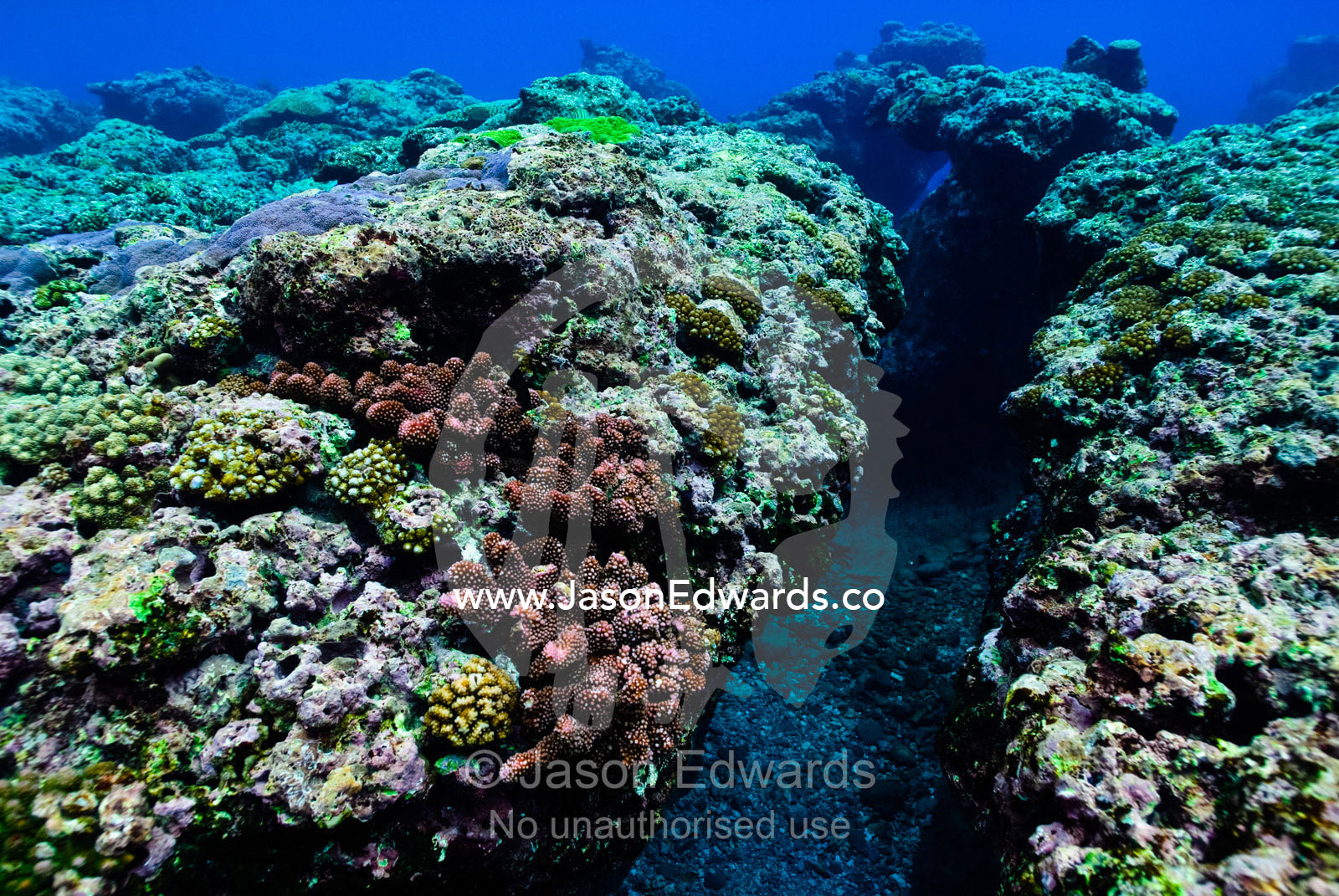 Warm, shallow seas over a canyon in the surface of a coral reef. Vava'u Island Group, Pacific Ocean, Oceania, Kingdom of Tonga.