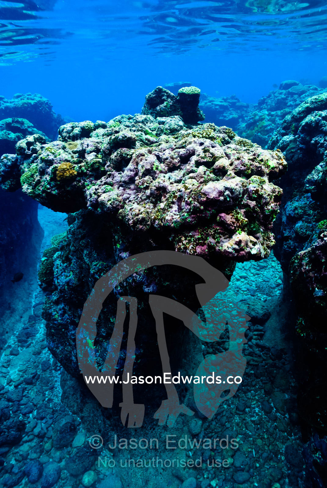 Warm, shallow seas over the jagged surface of a tropical coral reef. Vava'u Island Group, Pacific Ocean, Oceania, Kingdom of Tonga.
