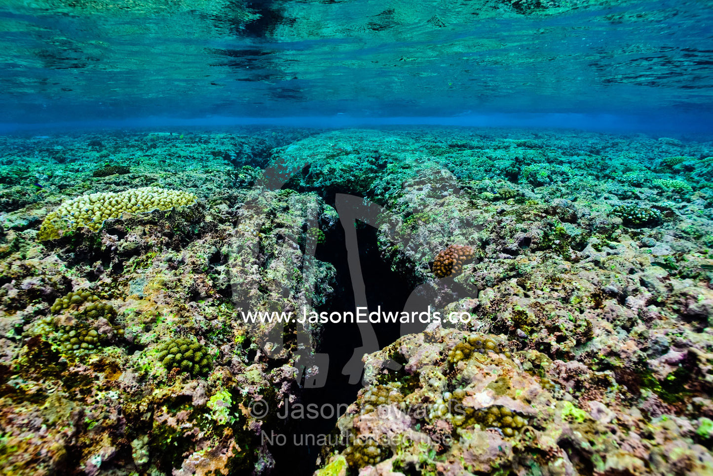 Warm, shallow seas over a canyon in the surface of a coral reef. Vava'u Island Group, Pacific Ocean, Oceania, Kingdom of Tonga.