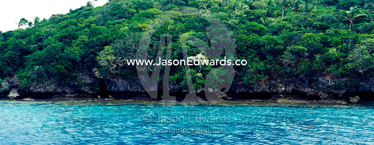 Lush tropical rainforest on a limestone island in turquoise seas. Vava'u Island Group, Pacific Ocean, Oceania, Kingdom of Tonga.