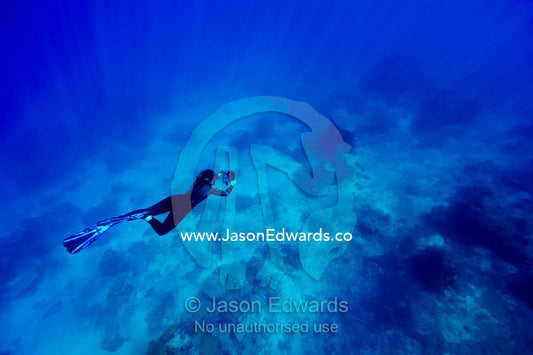 A free diver swims in the ocean after a Manta Ray with a video camera. Rabi Island, Somosomo Strait, Pacific Ocean, Fiji Islands.