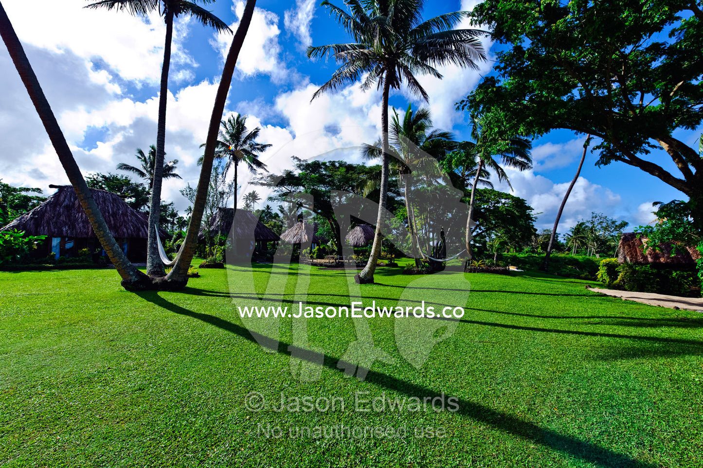 Traditional thatched burees overlook a garden with palm trees. Paradise Taveuni, Taveuni Island, Pacific Ocean, Fiji Islands.